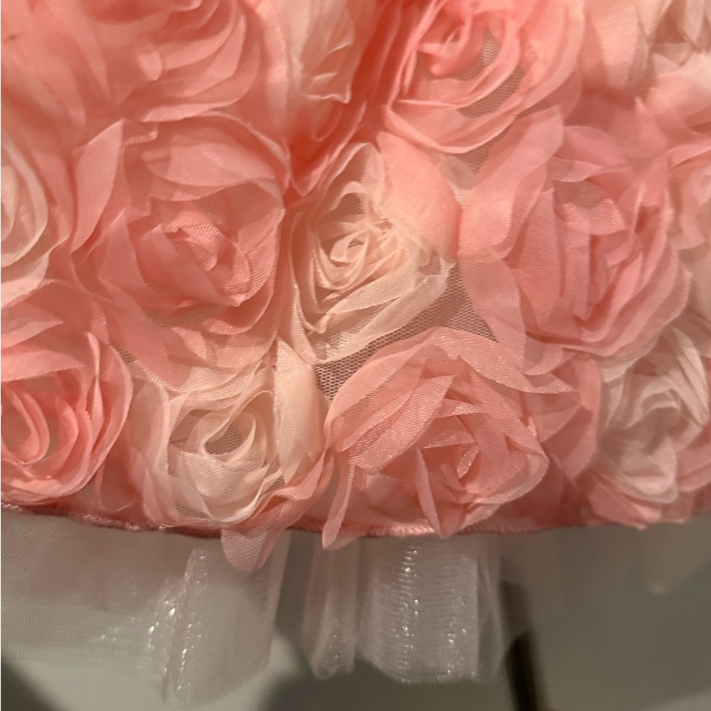 American Princess Pink Rosette Toddler Dress & hair clips - Special Event - Picture 5 of 6